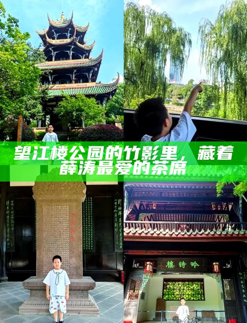 望江楼公园的竹影里，藏着薛涛最爱的茶席