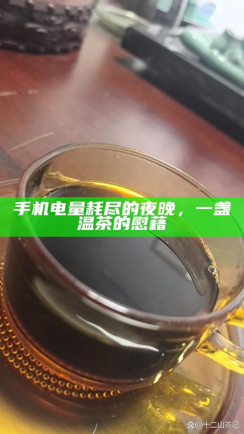 手机电量耗尽的夜晚，一盏温茶的慰藉