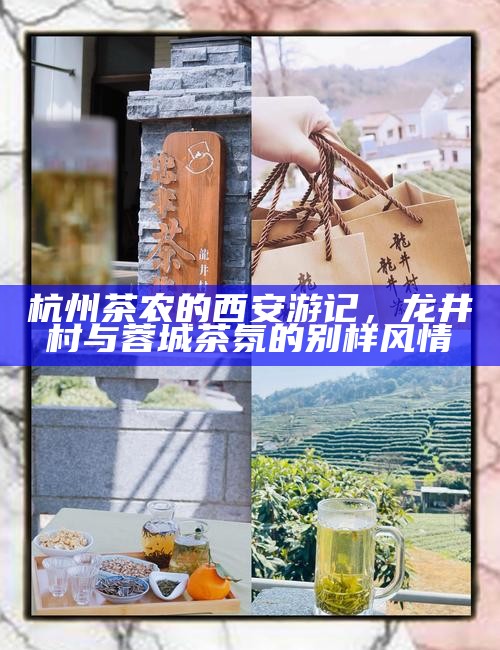 杭州茶农的西安游记，龙井村与蓉城茶氛的别样风情