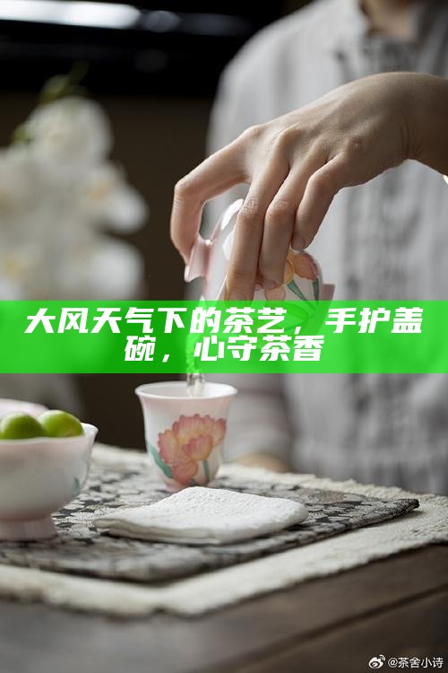 大风天气下的茶艺，手护盖碗，心守茶香