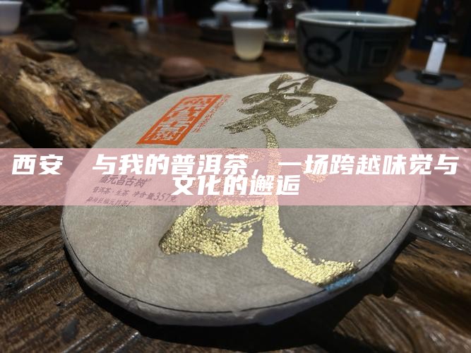 西安嬢嬢与我的普洱茶，一场跨越味觉与文化的邂逅